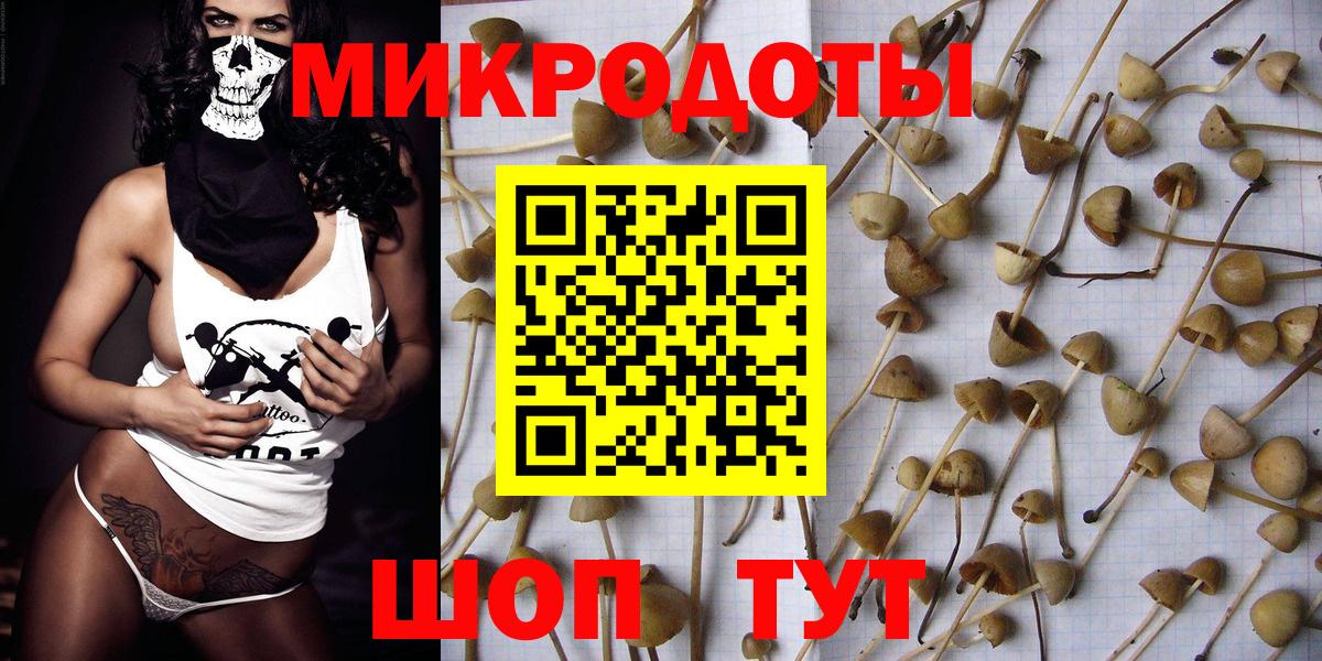 Псилоцибиновые грибы мухоморы Кудрово