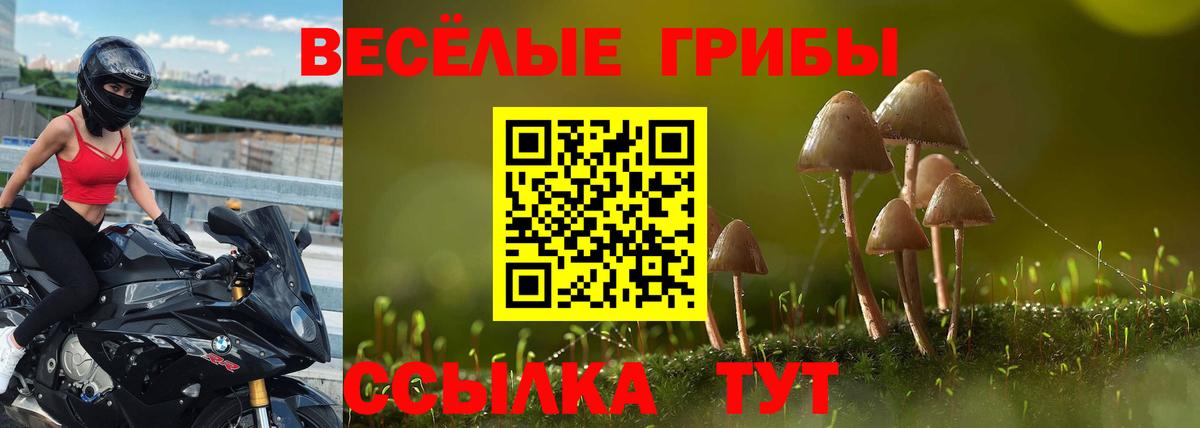 Кудрово  Галлюциногенные грибы Magic Shrooms  Вход с VPN  Галлюциногенные грибы мухоморы 